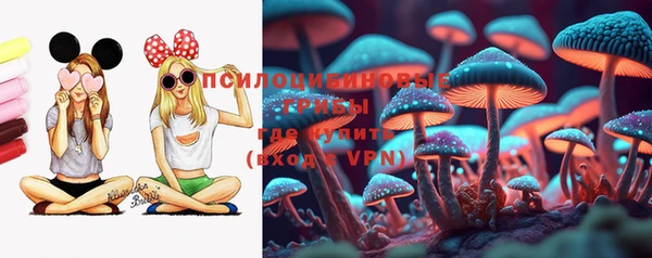 стаф Белоозёрский