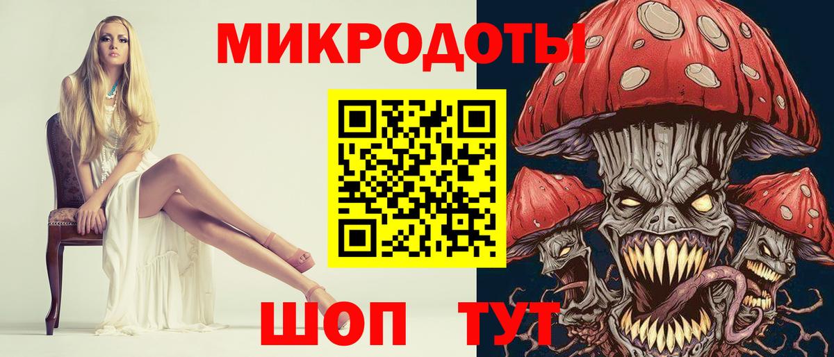 Псилоцибиновые грибы Psilocybine cubensis  Вход с VPN  Большой Камень 
