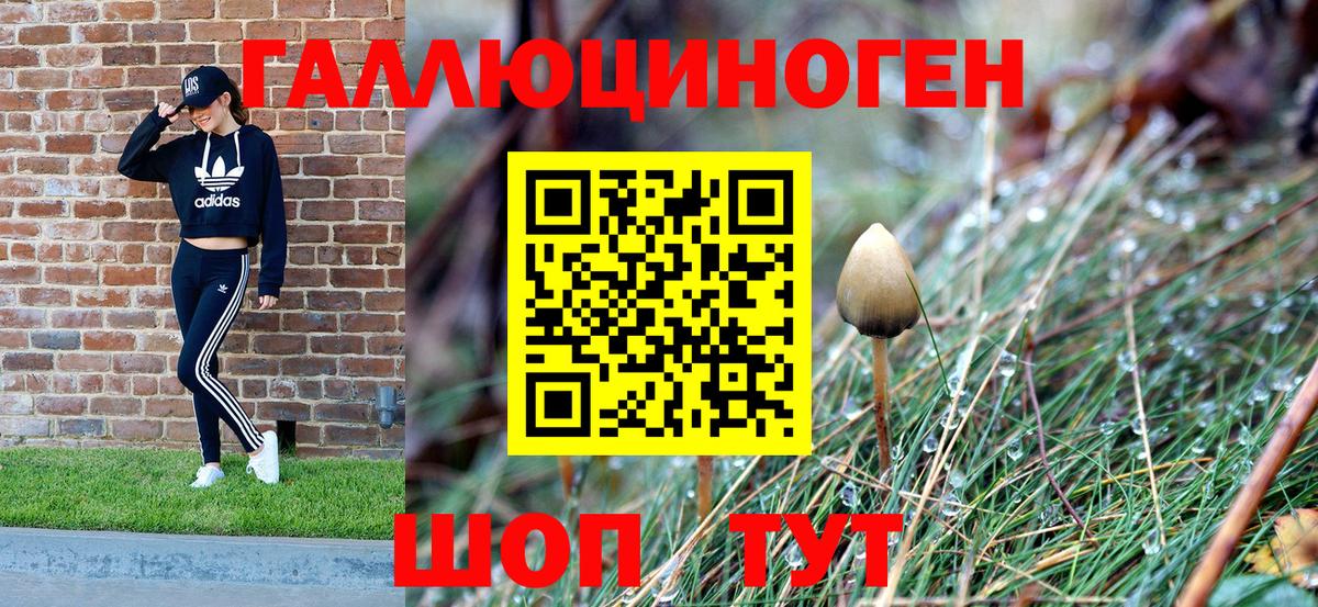 Псилоцибиновые грибы прущие грибы Большой Камень