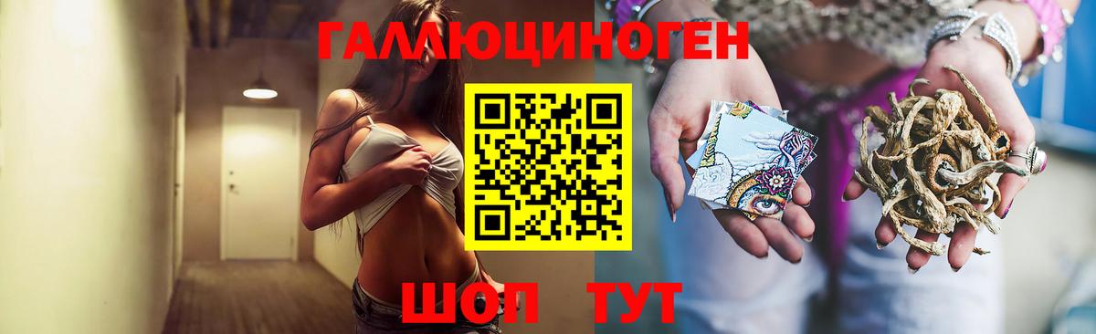 Псилоцибиновые грибы Psilocybe Большой Камень